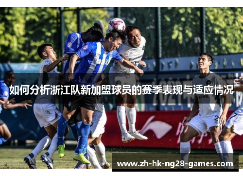 如何分析浙江队新加盟球员的赛季表现与适应情况