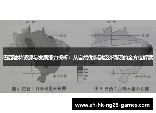 巴西独特资源与发展潜力探析：从自然优势到经济强项的全方位解读