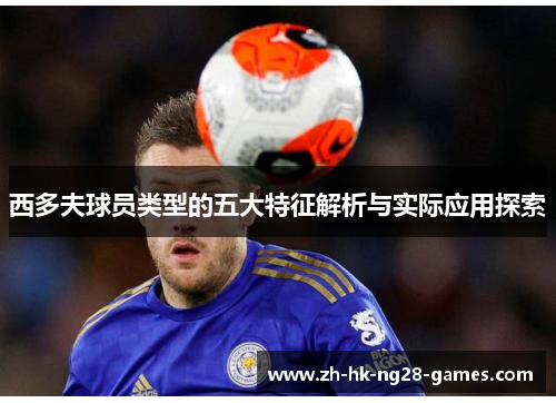 西多夫球员类型的五大特征解析与实际应用探索